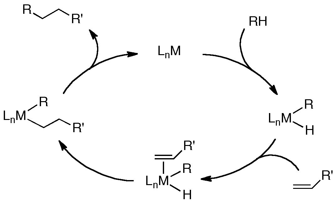 catalytic cycle