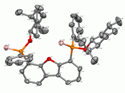 two-armed chiral ligand