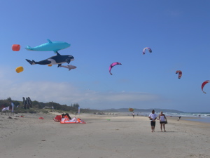 kites