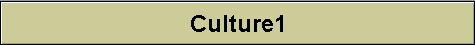 Culture1