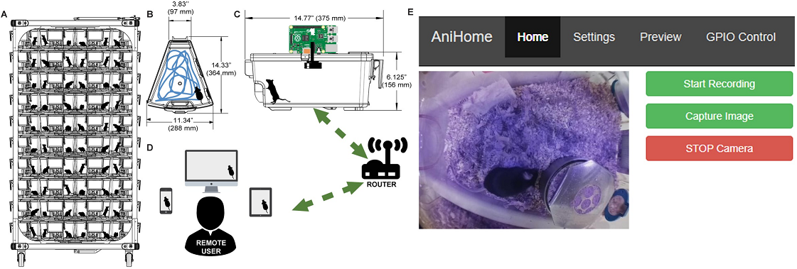 homecage automated montioring