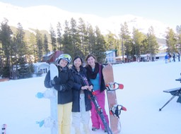 Lab ski retreat in Castle Mountain