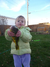 julia perch