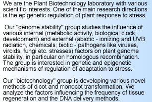 We are the Plant Biotechnology laboratory with various scientific interests. One of the main research directions is the plant response to stress.
