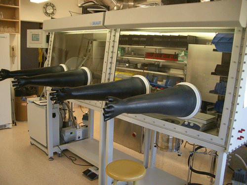 glovebox