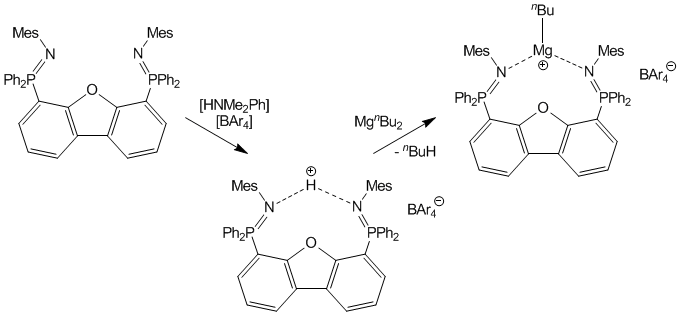 Magnesium Complexes