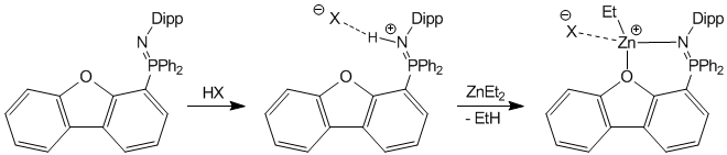 Zinc Complexes