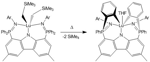 double ortho-metallation