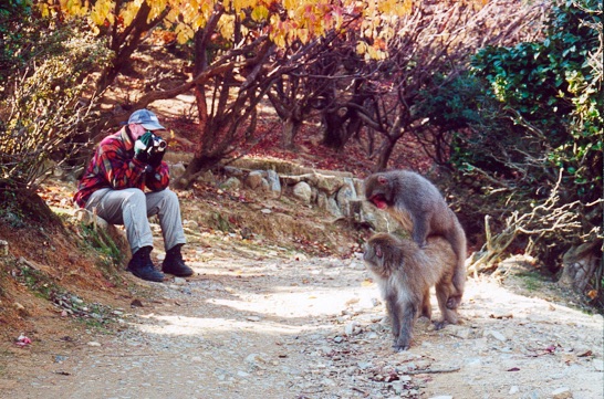 1080p va 1080i formatida porno tomosha qiling Hol somonxonada jinsiy aloqa